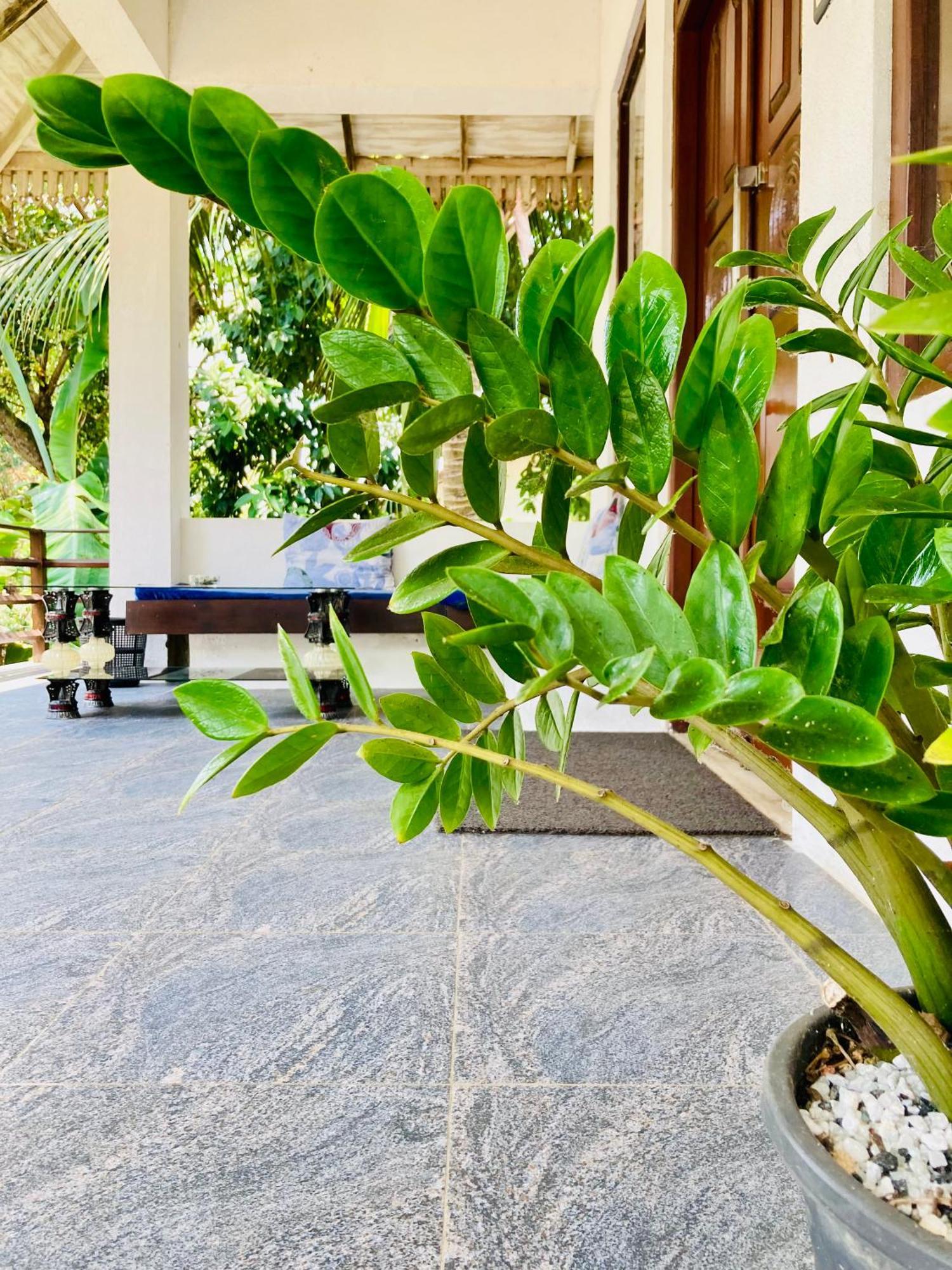 Mountain seaview Cabanas Tangalle Exterior foto