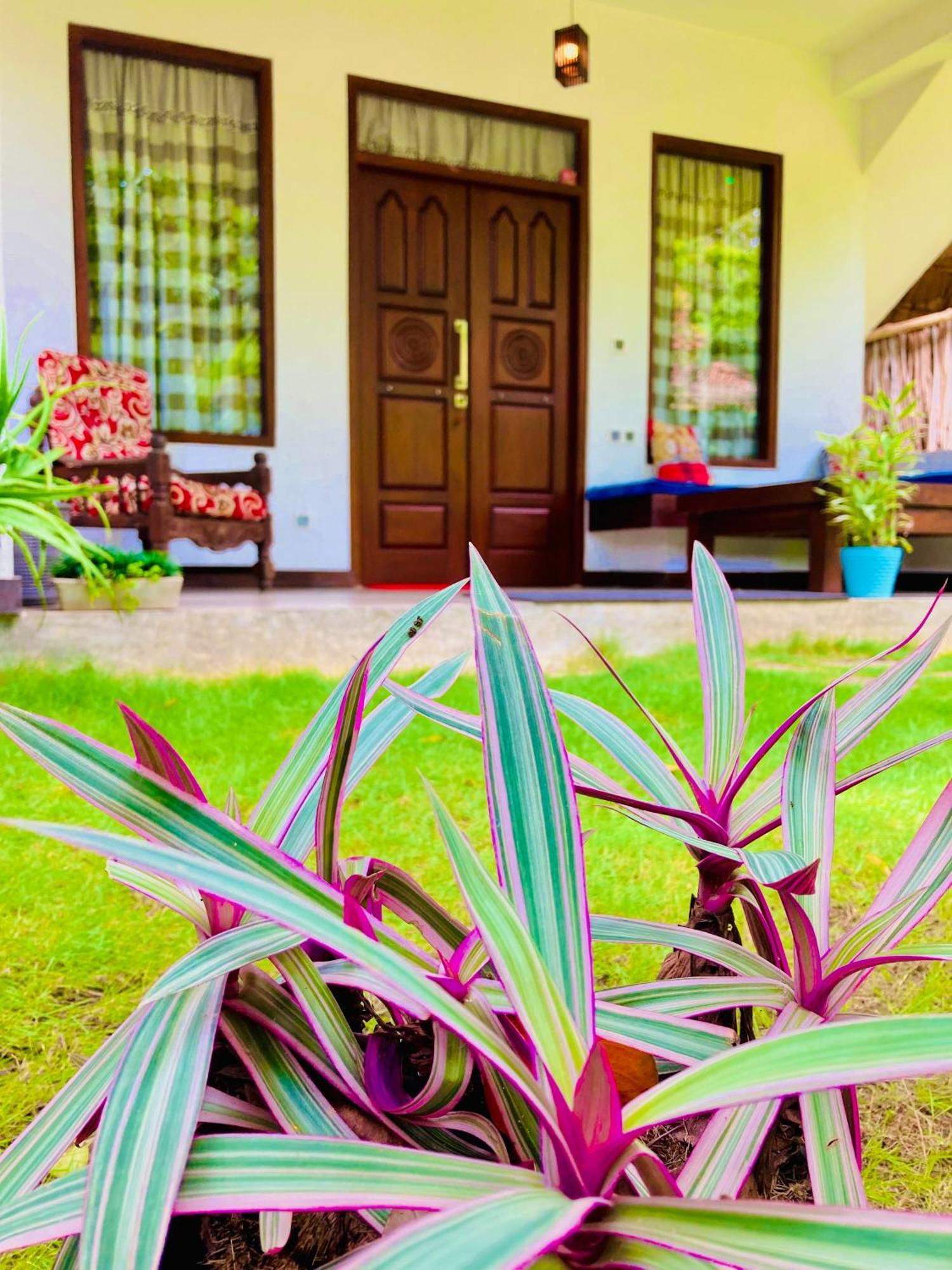 Mountain seaview Cabanas Tangalle Exterior foto